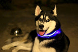 Safety Pet Collar With LED And Printed Design By I Love Dogs Society