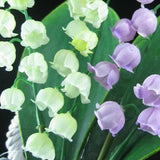 40 Seeds per Pack - Lily of the Valley